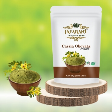 Cassia Obovata Powder (Colorless Henna) Manufacturer in India